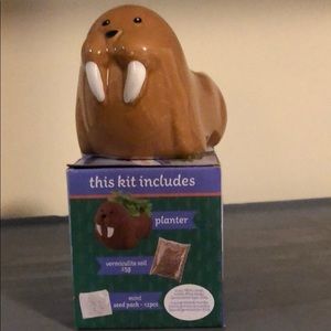 Animal Planter Grow Kit. Winston. New.